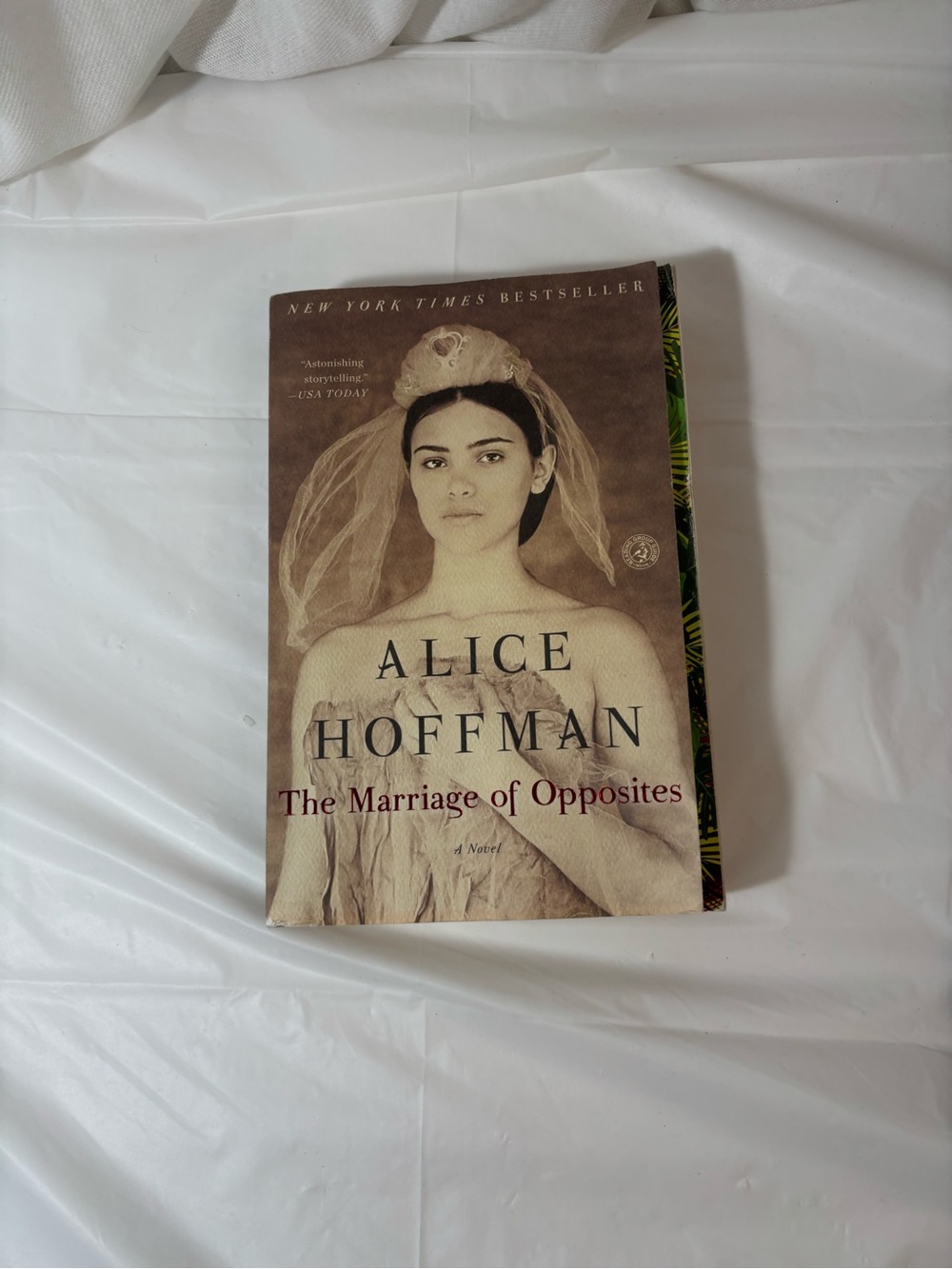 Alice Hoffman The Marriage of Opposites - Beige Paperback